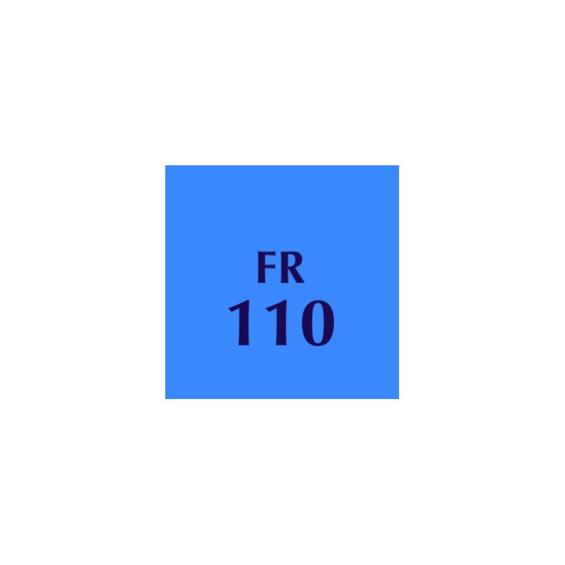 FRANCE 110