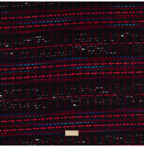 TISSU-TWEED-MAHLIA-KENT--NOIR-ET-ROUGE