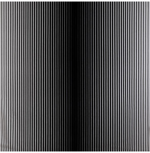 Tissu-velours-rayé-noir-et-blanc